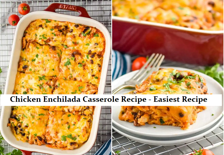 Chicken Enchilada Casserole Recipe - Easiest Recipe