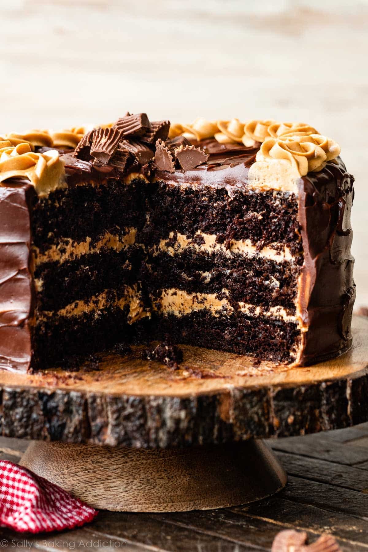 https://www.pastramiandthings.com/wp-content/uploads/2024/01/chocolate-and-peanut-butter-cake.jpg